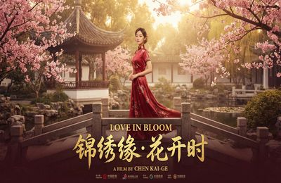 91精选视频 - 都市情缘